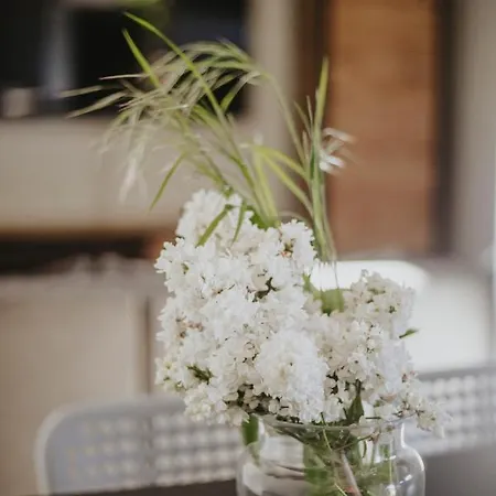 Letniskowe Babie Doly